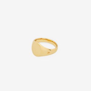 Mini Signet Oval ring – 9k guld