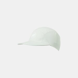Aenergy Light Cap Silver salvia