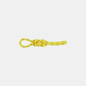 9.5 Alpine Core Protect torrrep 40m